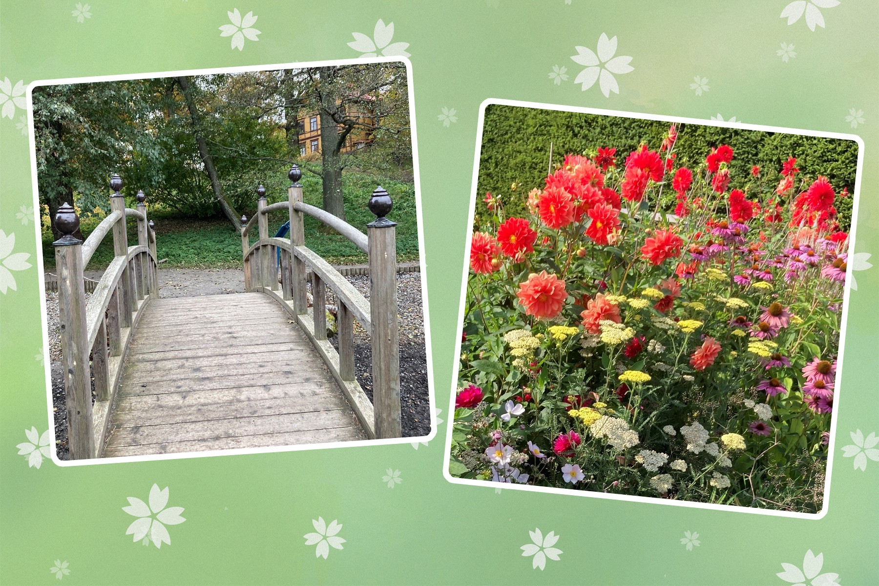 Tisdag 28 maj: Vårvandring i Bergianska trädgården